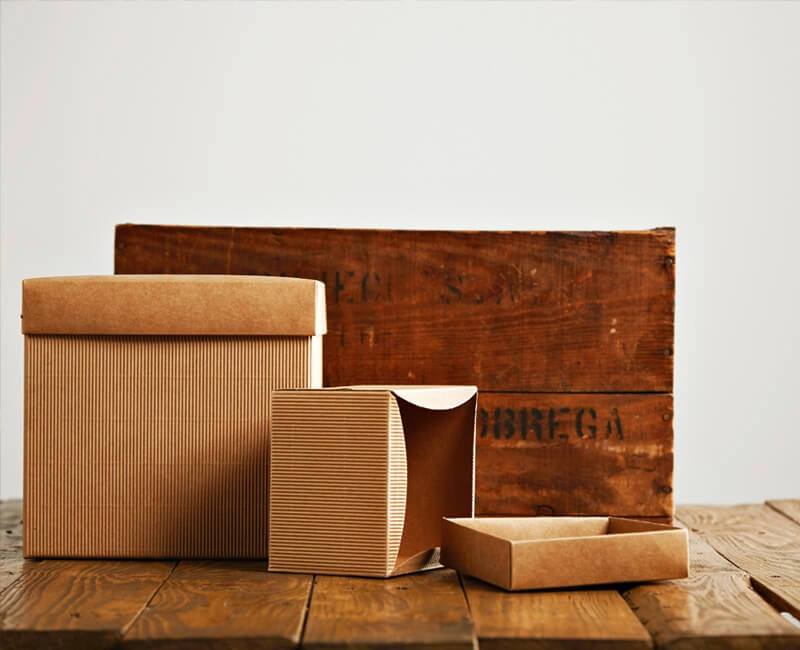 Cargo-Packing-article-v1